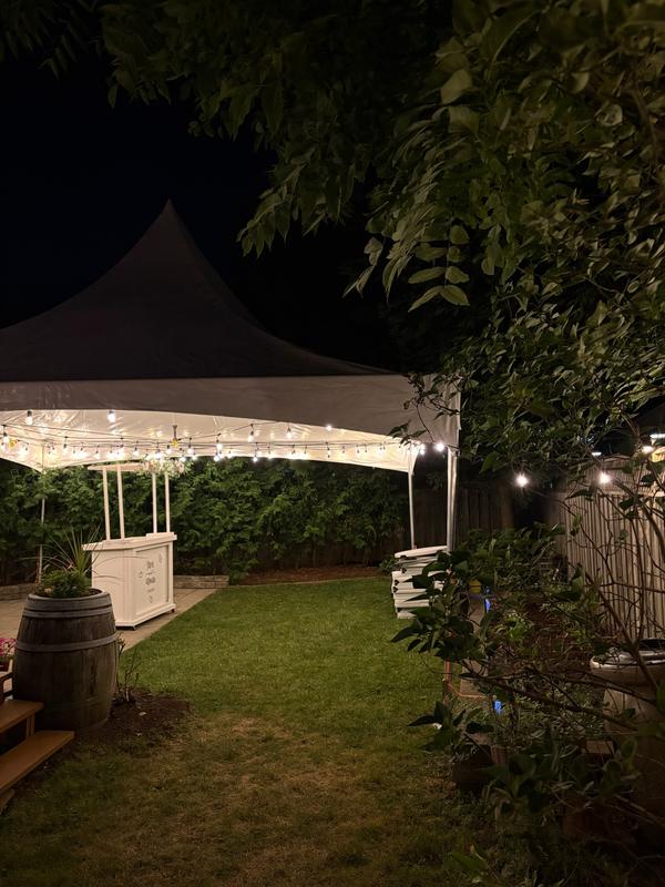 Tent over a garden path lit up after dark